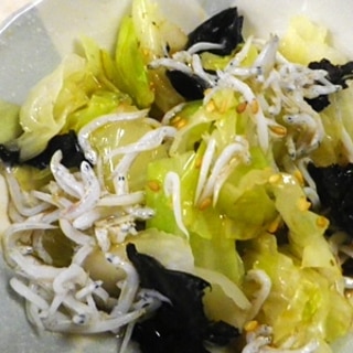 しらすキャベツ焼き海苔サラダ